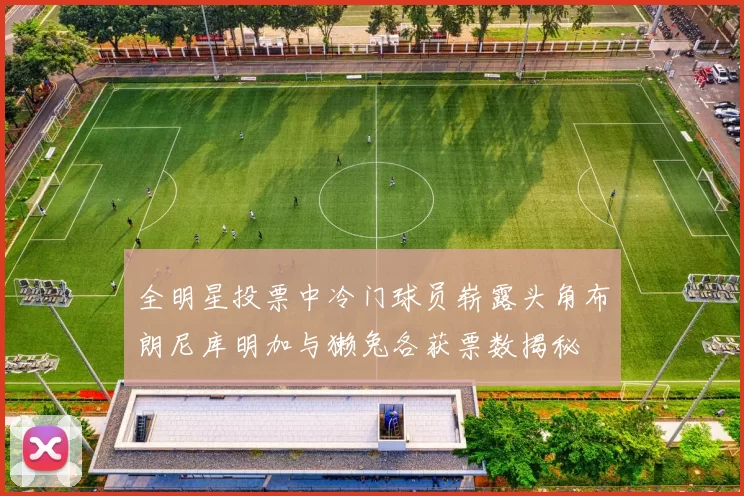 全明星投票中冷门球员崭露头角布朗尼库明加与獭兔各获票数揭秘